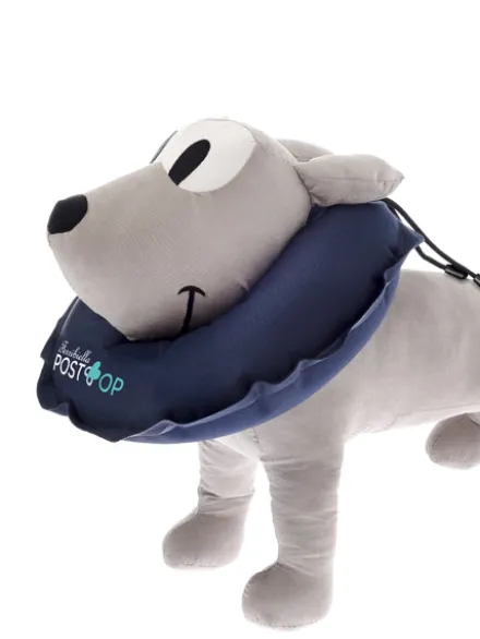 Collerette gonflable pour chien - Ferribiella PostOp