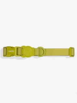 Collier en néoprène pour chien - Neopro Matcha - Zee.Dog
