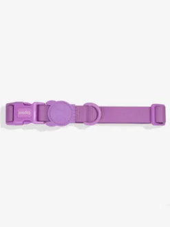 Collier en néoprène pour chien - Neopro Ultra Violet - Zee.Dog
