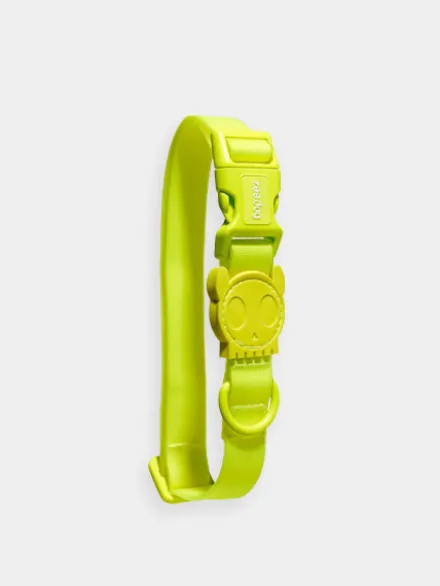 Collier en néoprène pour chien - Neopro Lime - Zee.Dog
