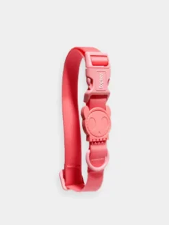 Collier en néoprène pour chien - Neopro Bubble Gum - Zee.Dog