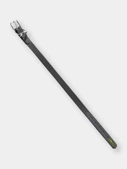 Collier imperméable et résistant pour chien - Noir - Hunter