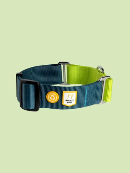 Collier martingale pour chien - Color Block Deep Teal - Woolly Wolf