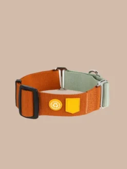 Collier martingale pour chien - Color Block Terracotta - Woolly Wolf