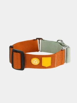 Collier martingale pour chien - Color Block Terracotta - Woolly Wolf