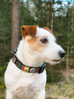 Collier original pour chien motif Woodland - Woolly Wolf