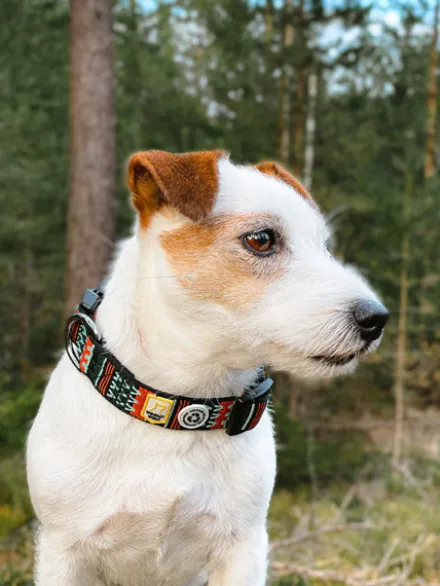 Collier original pour chien motif Woodland - Woolly Wolf