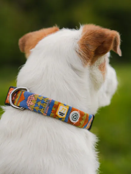 Collier original pour chien motif Nightless Night - Woolly Wolf