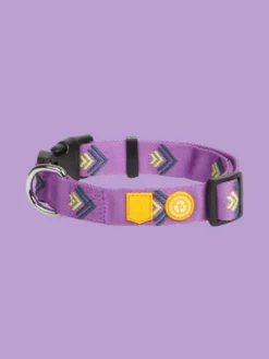 Collier original pour chien motif Northern Lights - Woolly Wolf