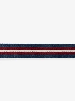 Collier pour chat - Velvet Vibes Dropout - Zee.Dog