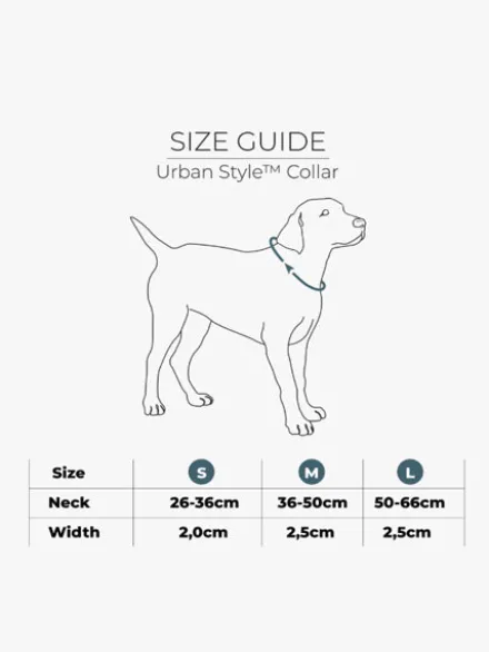 Collier pour chien DOG Copenhagen - Urban Style - Marron