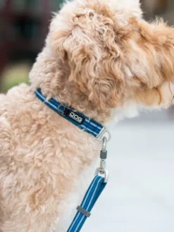Collier pour chien DOG Copenhagen - Urban Style - Bleu