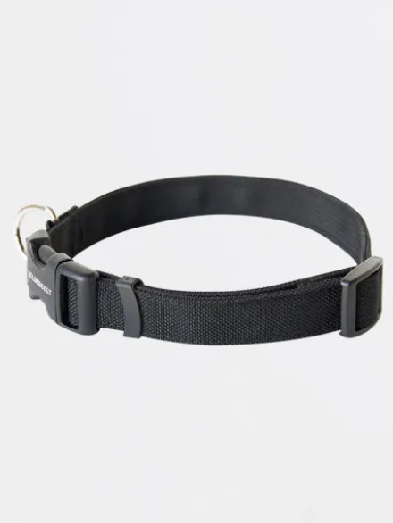 Collier pour chien Funston Noir - Wildebeest