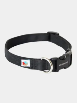Collier pour chien Funston Noir - Wildebeest