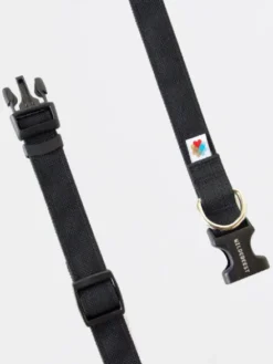 Collier pour chien Funston Noir - Wildebeest