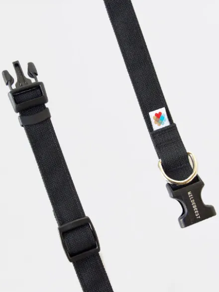 Collier pour chien Funston Noir - Wildebeest