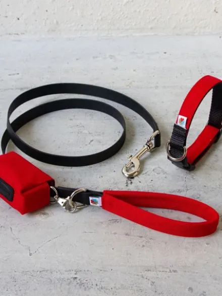 Collier pour chien Funston Rouge - Wildebeest