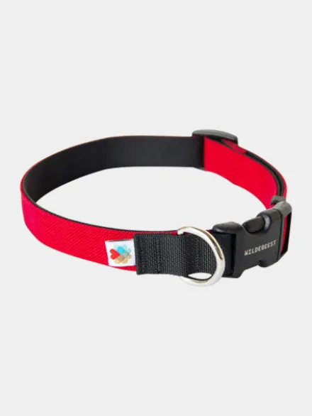 Collier pour chien Funston Rouge - Wildebeest