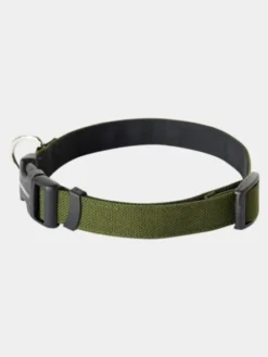 Collier pour chien Funston Vert - Wildebeest