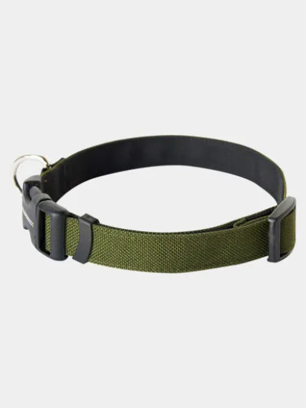 Collier pour chien Funston Vert - Wildebeest