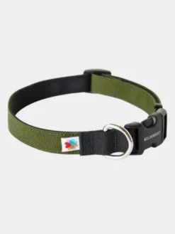 Collier pour chien Funston Vert - Wildebeest