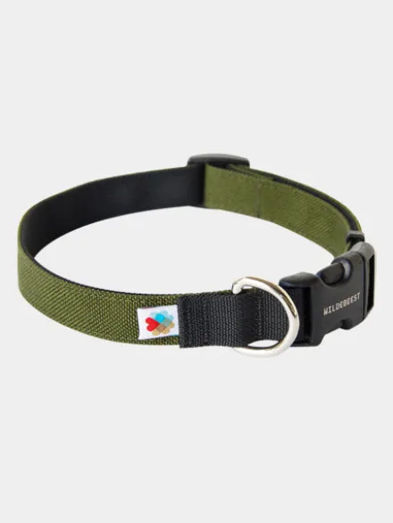 Collier pour chien Funston Vert - Wildebeest