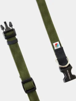 Collier pour chien Funston Vert - Wildebeest