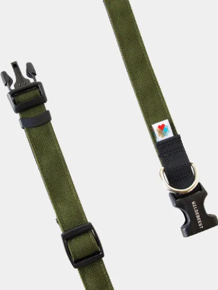 Collier pour chien Funston Vert - Wildebeest