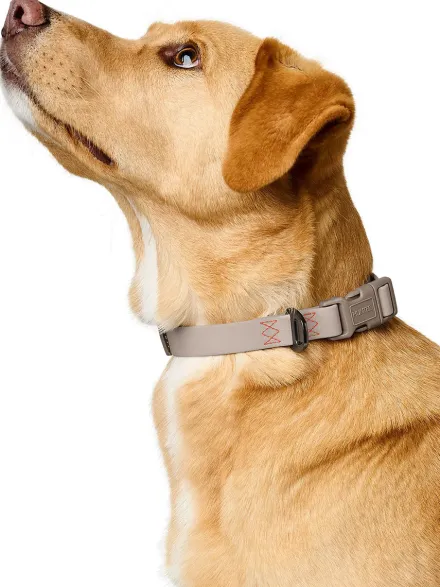 Collier pour chien imperméable et résistant - Havana grège - Hunter