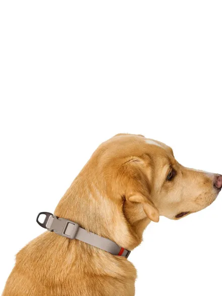 Collier pour chien imperméable et résistant - Havana grège - Hunter