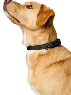 Collier pour chien imperméable et résistant - Havana noir - Hunter