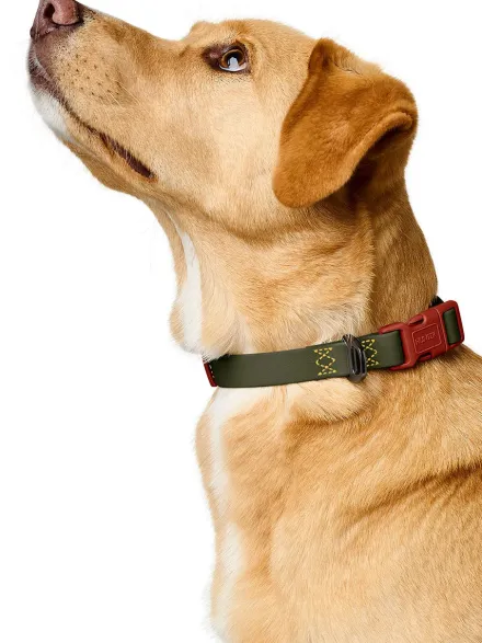 Collier pour chien imperméable et résistant - Havana army - Hunter