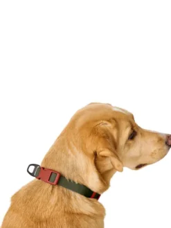 Collier pour chien imperméable et résistant - Havana army - Hunter