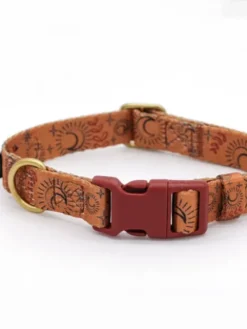 Collier pour chien - Moonstar - Bop Pop Pets