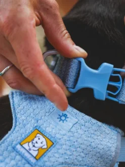 Collier pour chien Ruffwear - Front Range Flex collar - Bleu Polaire