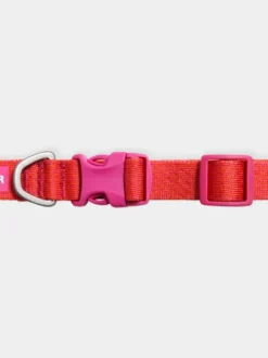 Collier pour chien Ruffwear - Front Range Flex collar - Rose-Violet