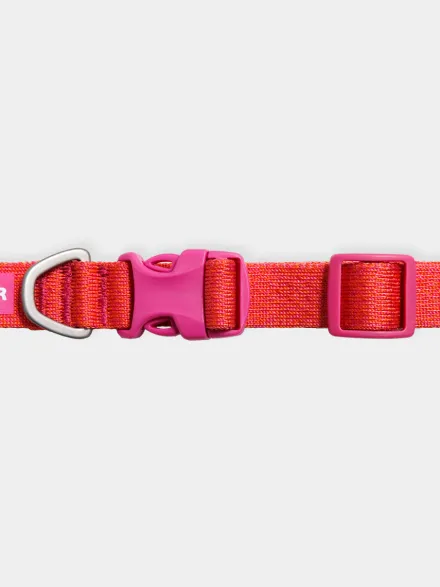 Collier pour chien Ruffwear - Front Range Flex collar - Rose-Violet