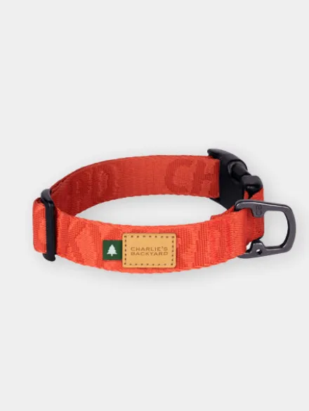 Collier pour chien - Town basic collar - Orange - Charlie's Backyard