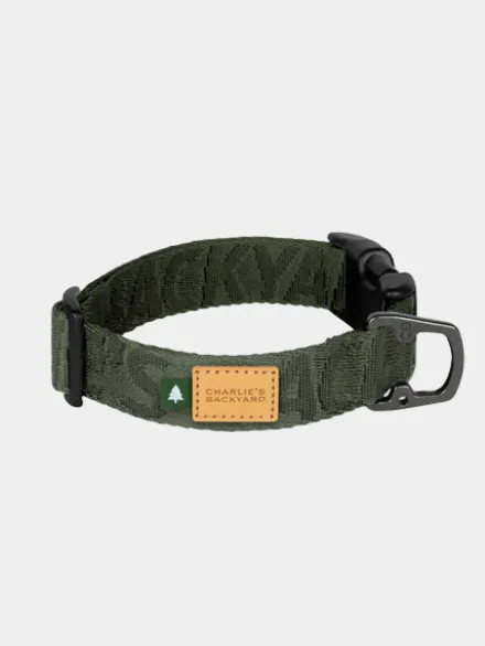 Collier pour chien - Town basic collar - Vert - Charlie's Backyard