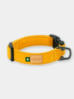 Collier pour chien - Town - Jaune - Charlie's Backyard