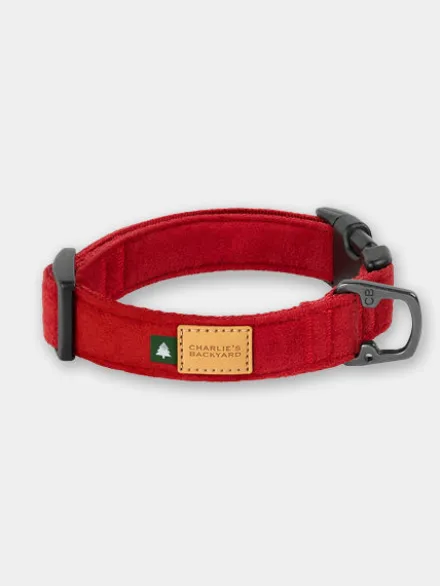 Collier pour chien - Town - Rouge - Charlie's Backyard