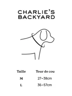Collier pour chien - Town - Vert - Charlie's Backyard