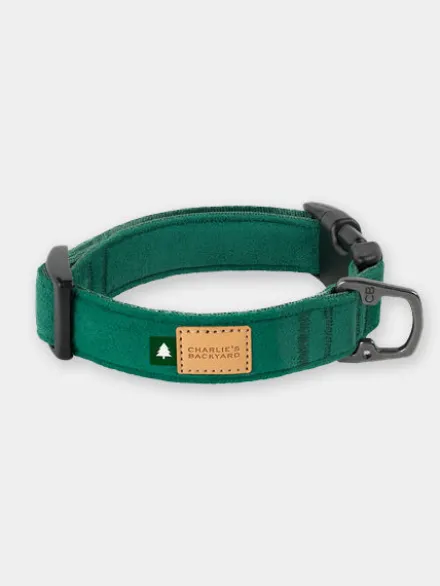 Collier pour chien - Town - Vert - Charlie's Backyard