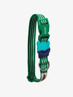 Collier pour chien - Velvet Vibes Vert - Zee.Dog
