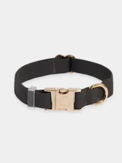 Collier waterproof Cloud pour chien - Noir - Shop Sunny Tails