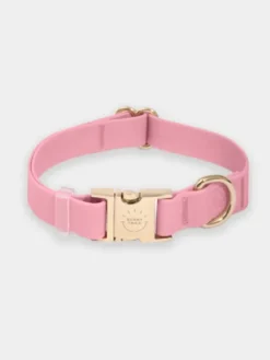 Collier waterproof Cloud pour chien - Rose parfait - Shop Sunny Tails