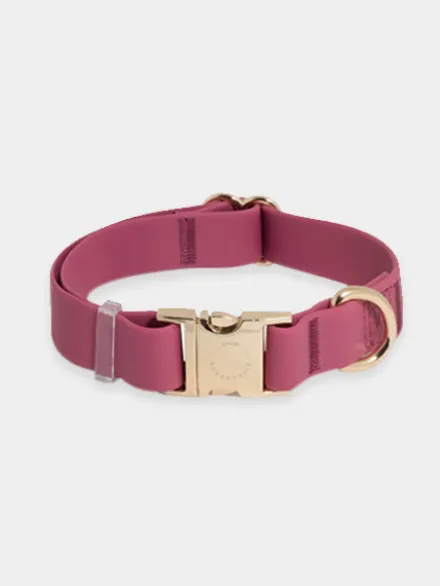 Collier waterproof Cloud pour chien - Mûre - Shop Sunny Tails