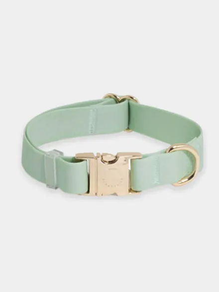 Collier waterproof Cloud pour chien - Pistache - Shop Sunny Tails