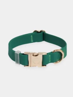 Collier waterproof Cloud pour chien - Vert forêt - Shop Sunny Tails