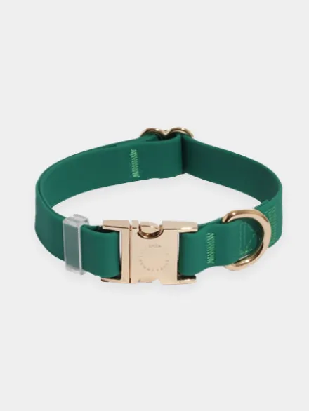 Collier waterproof Cloud pour chien - Vert forêt - Shop Sunny Tails